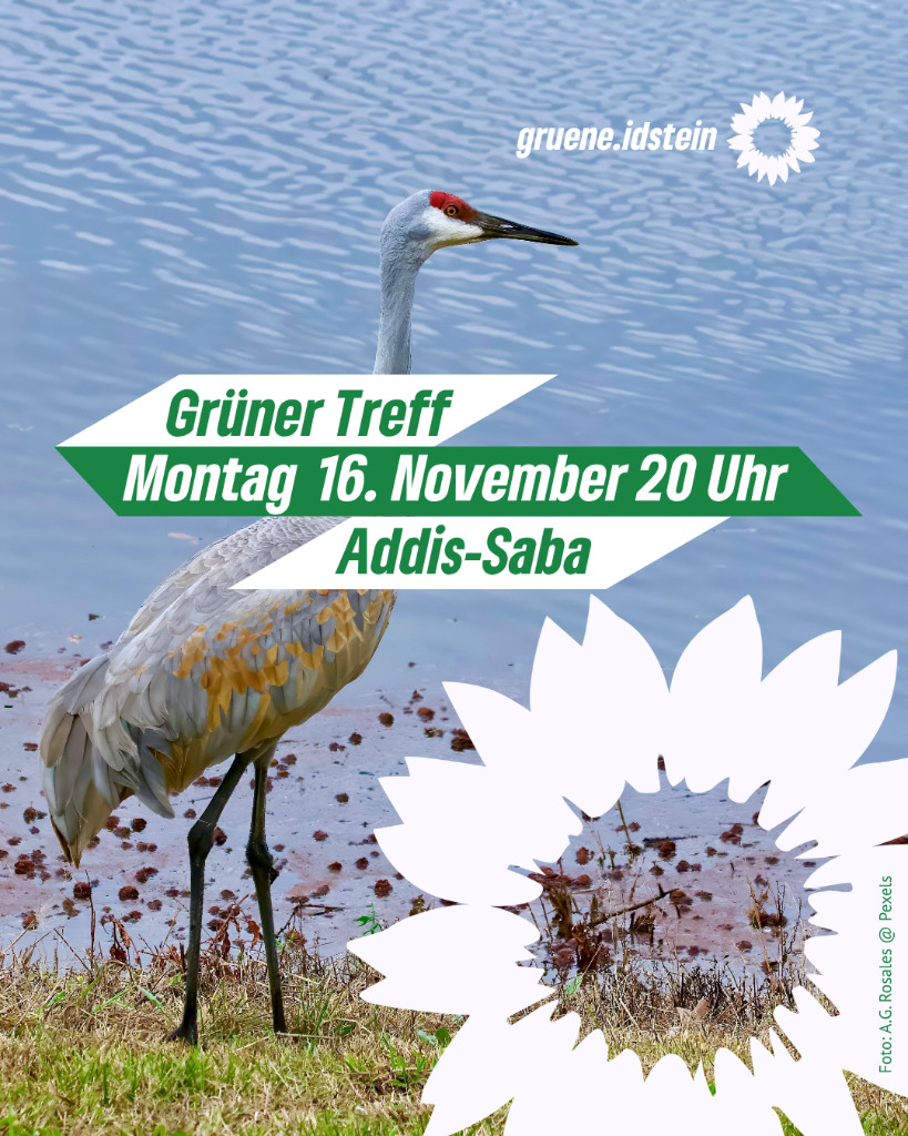 Einladungsbild zum Grünen Treff am Montag, 16.1.26, 20 Uhr im Addis-Saba, dekoriert mit einem Vogel am Wasser